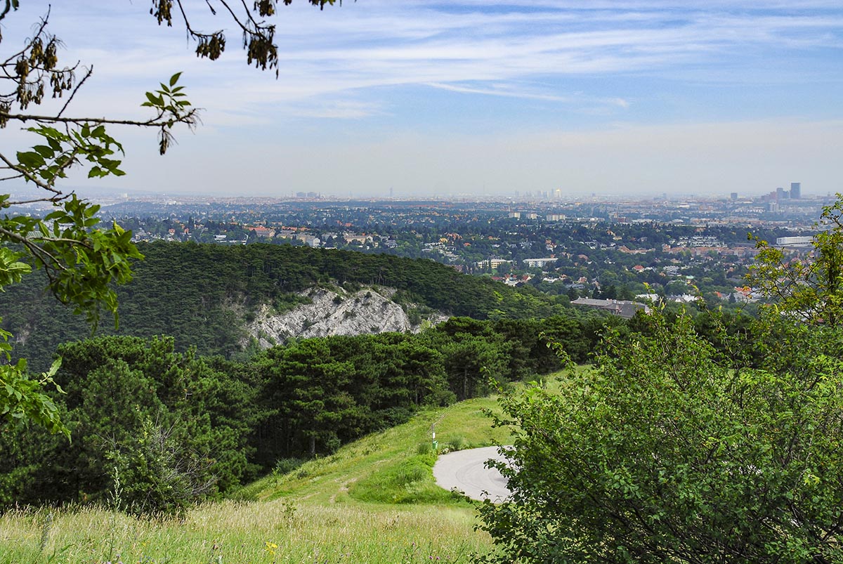 Blick auf Wien